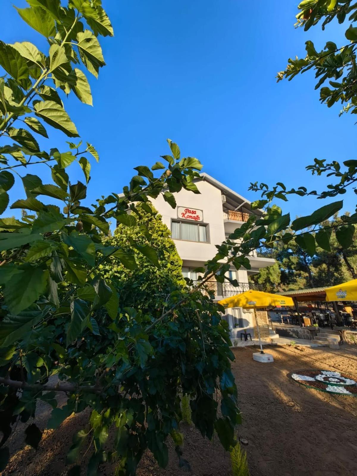Pasa Konagi Ayvalik Hotel Kültér fotó